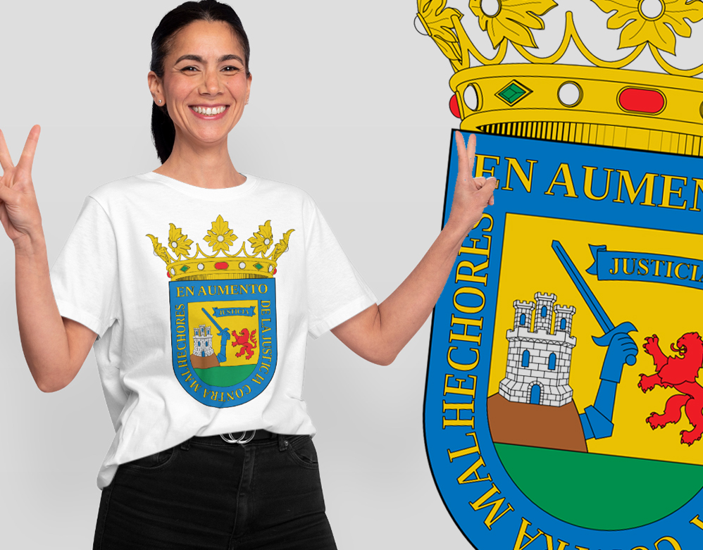 Camisetas personalizadas en Alava - Camiseta alava con logo