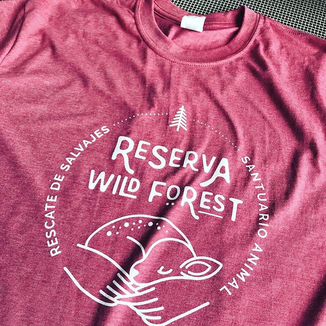 estampacion-de-camisetas-15