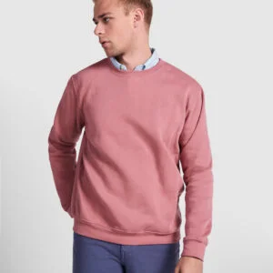 Sudadera en diseño clásico 280G - 1070_168_1_1
